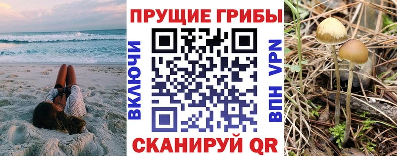 Галлюциногенные грибы прущие грибы  Купить  Златоуст 